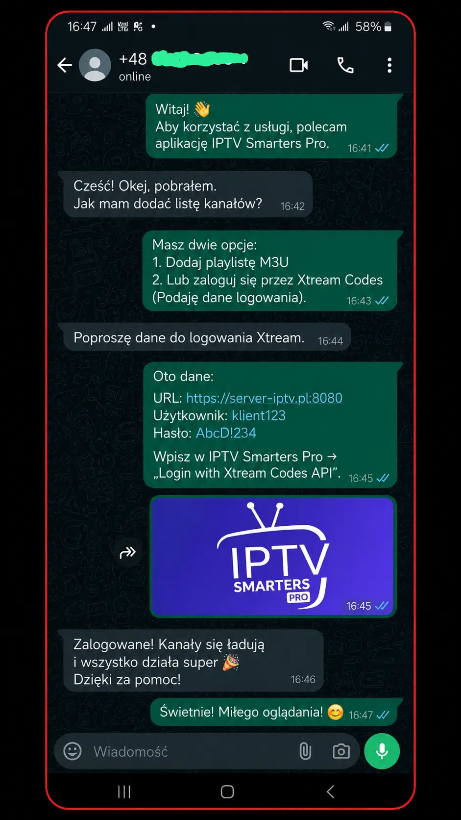 Aplikacja IPTV klienta — działający ekran
